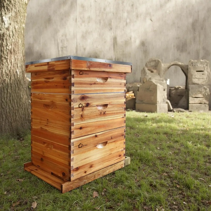 10-Frame Complete Beehive Kit, - Beehive Frame Wax review and price