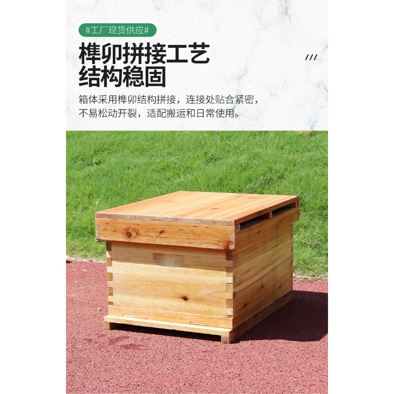 Fir Wood 10-Frame Beehive Box  - Beehive Frame Wax review and price