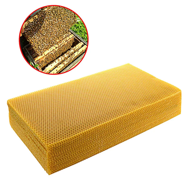 30pcs/pack Bee Comb Foundation - Beehive Frame Wax review and price
